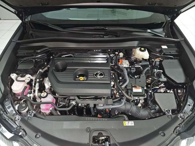 Foto 40 Lexus UX 300h Plus 146 kW (199 CV)