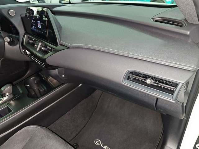 Foto 11 Lexus UX 300h Plus 146 kW (199 CV)