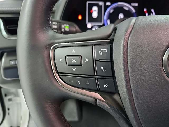 Foto 14 Lexus UX 300h Plus 146 kW (199 CV)