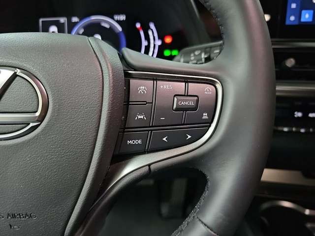 Foto 15 Lexus UX 300h Plus 146 kW (199 CV)