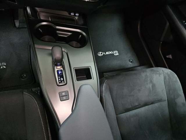 Foto 25 Lexus UX 300h Plus 146 kW (199 CV)