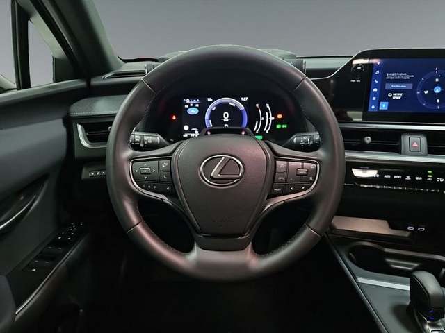 Foto 11 Lexus UX 300h Plus 146 kW (199 CV)