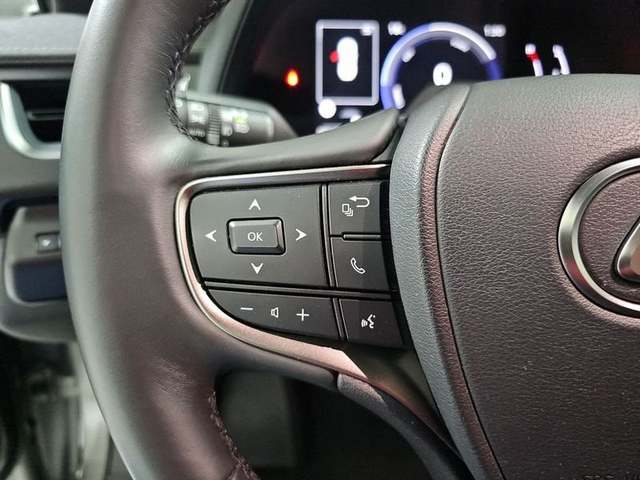 Foto 12 Lexus UX 300h Plus 146 kW (199 CV)