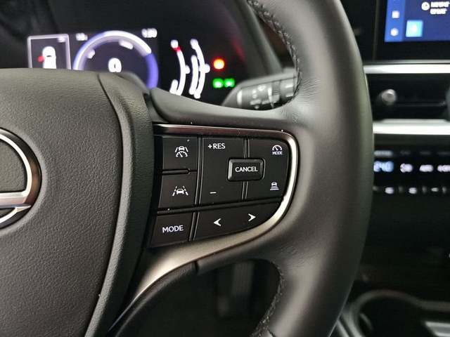 Foto 13 Lexus UX 300h Plus 146 kW (199 CV)