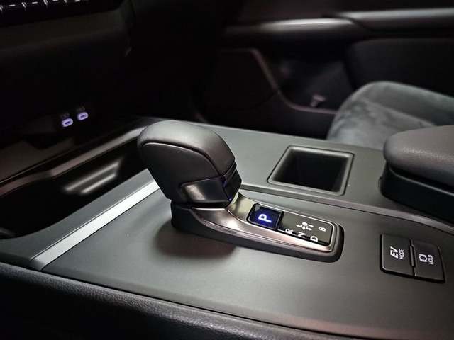 Foto 24 Lexus UX 300h Plus 146 kW (199 CV)