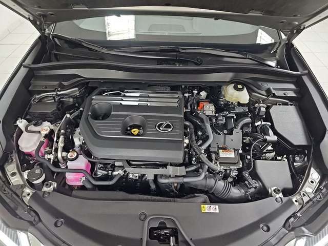 Foto 29 Lexus UX 300h Plus 146 kW (199 CV)