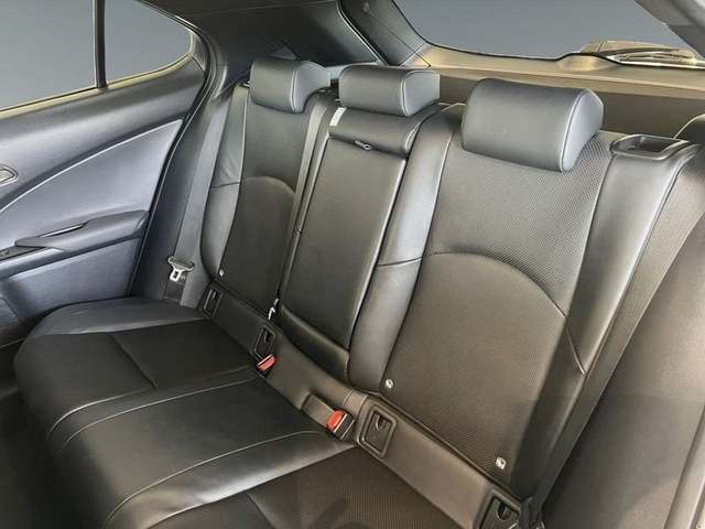 Foto 8 Lexus UX 250h F Sport 135 kW (184 CV)