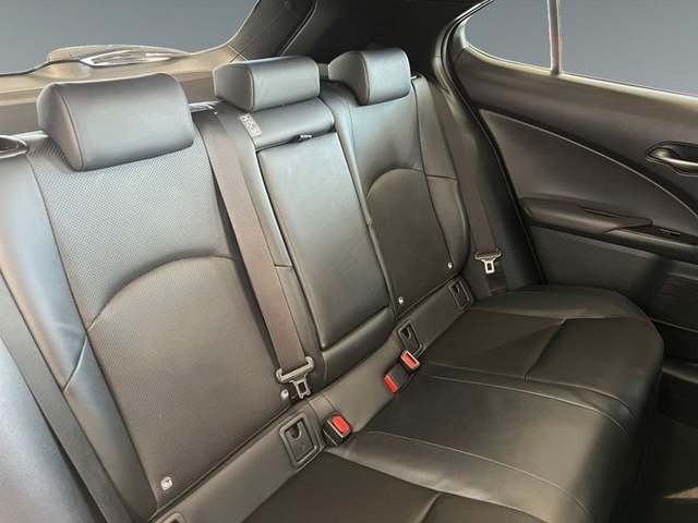 Foto 9 Lexus UX 250h F Sport 135 kW (184 CV)