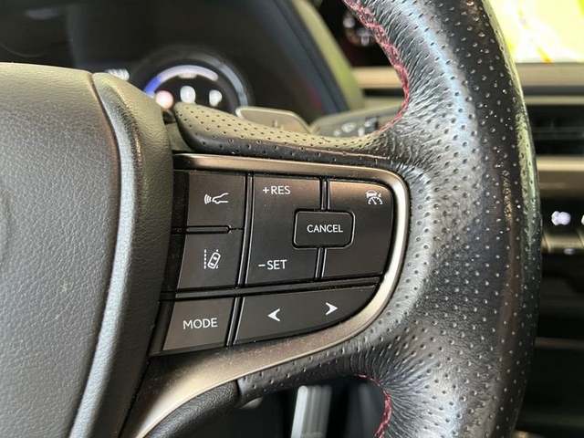 Foto 13 Lexus UX 250h F Sport 135 kW (184 CV)