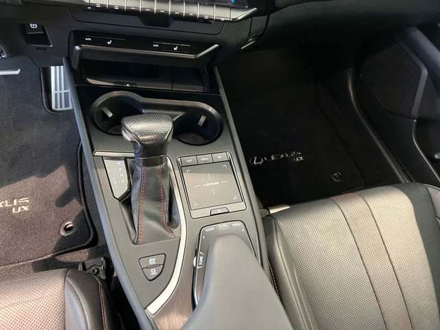 Foto 23 Lexus UX 250h F Sport 135 kW (184 CV)