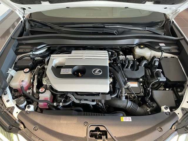 Foto 29 Lexus UX 250h F Sport 135 kW (184 CV)