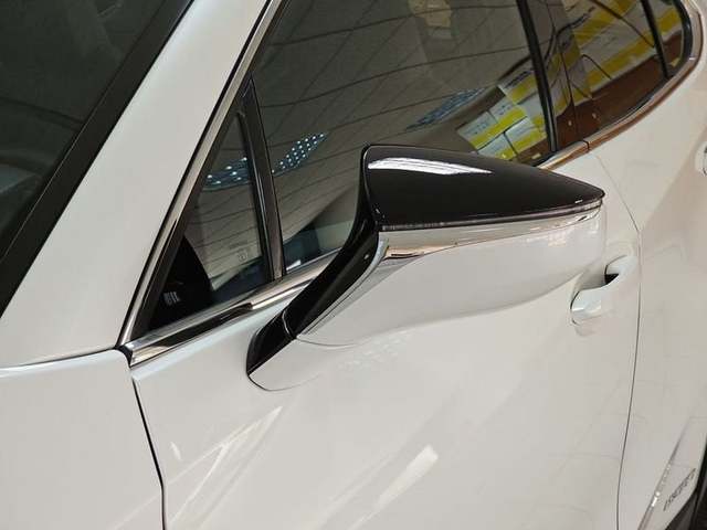 Foto 35 Lexus UX 250h Business 2WD 135 kW (184 CV)