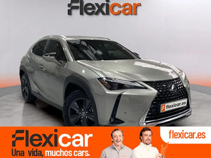 Lexus UX en Motorflash
