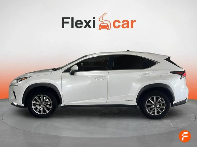 Foto 4 Lexus NX 300h Business Navigation 2WD 145 kW (197 CV)