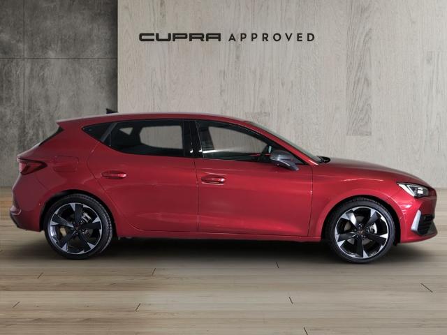 CUPRA León 1.5 eTSI DSG 110 kW (150 CV)