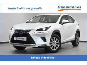 Lexus NX en Motorflash
