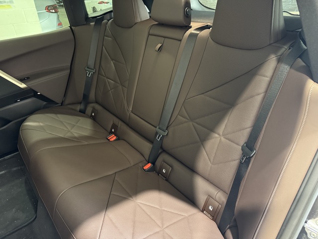 Foto 9 BMW iX xDrive40 240 kW (326 CV)