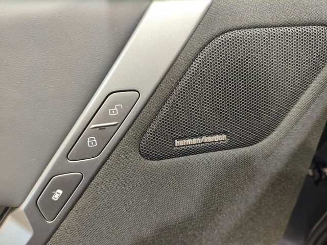 Foto 22 BMW iX xDrive45 300 kW (408 CV)