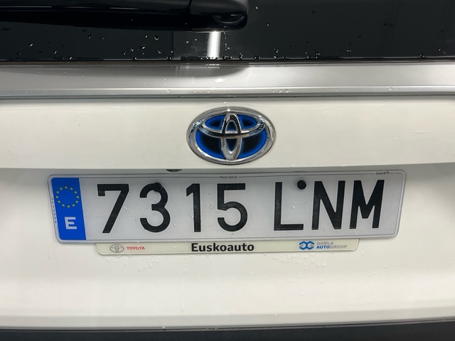 Toyota Rav4 2.5l hybrid Advance 160 kW (218 CV)
