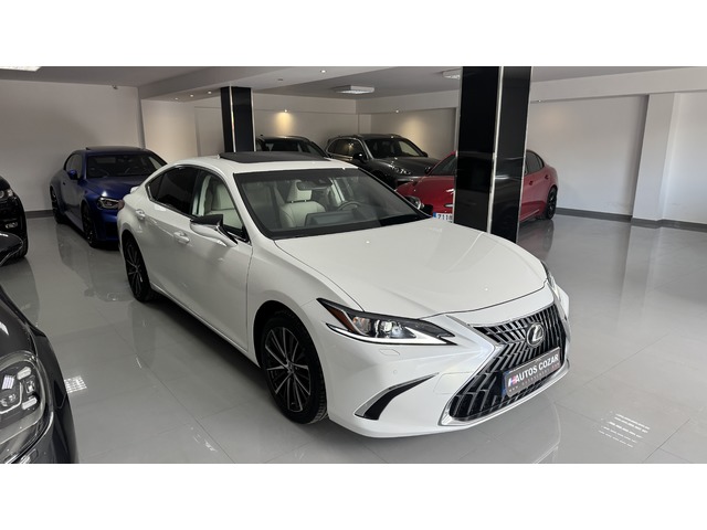 Lexus ES ES 300h de segunda mano