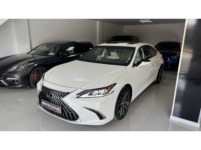 Lexus ES 300h ECO 160 kW (218 CV)