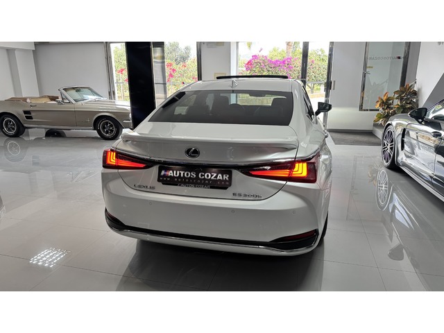 Lexus ES 300h ECO 160 kW (218 CV)