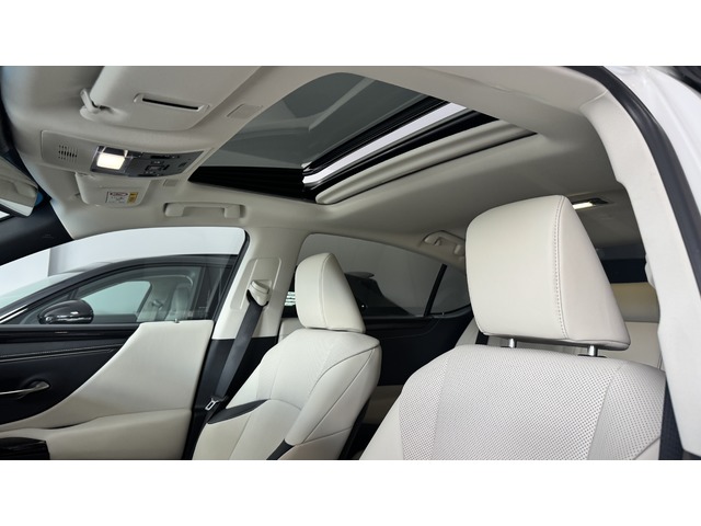 Lexus ES 300h ECO 160 kW (218 CV)