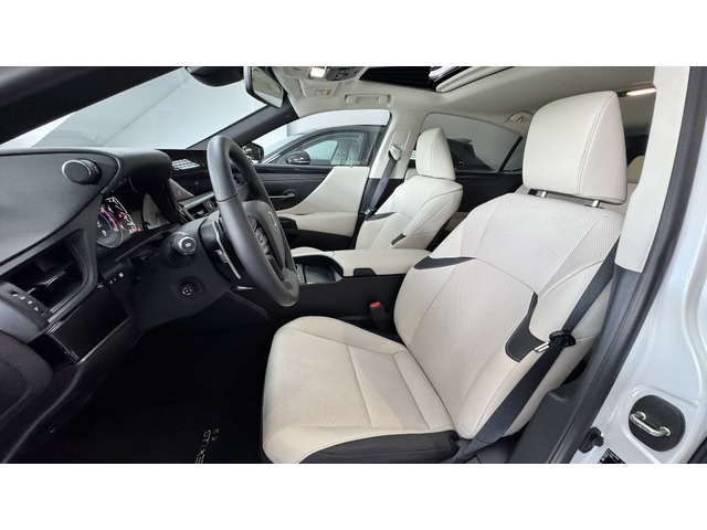 Lexus ES 300h ECO 160 kW (218 CV)