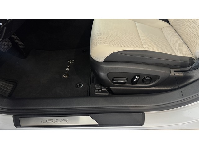 Lexus ES 300h ECO 160 kW (218 CV)