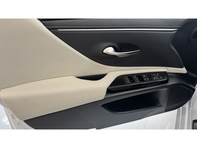 Lexus ES 300h ECO 160 kW (218 CV)