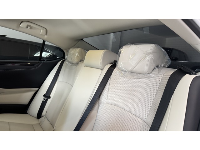 Lexus ES 300h ECO 160 kW (218 CV)