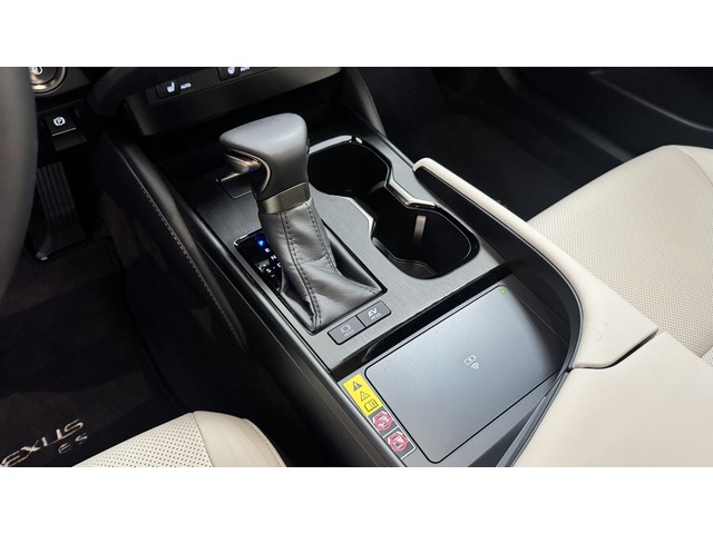 Lexus ES 300h ECO 160 kW (218 CV)