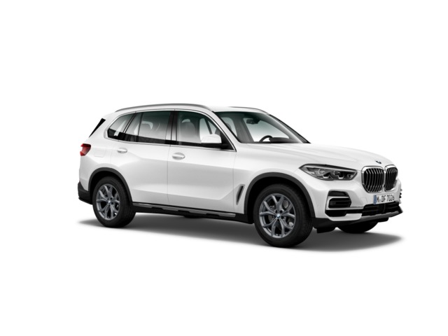 Foto 4 BMW X5 xDrive30d 210 kW (286 CV)