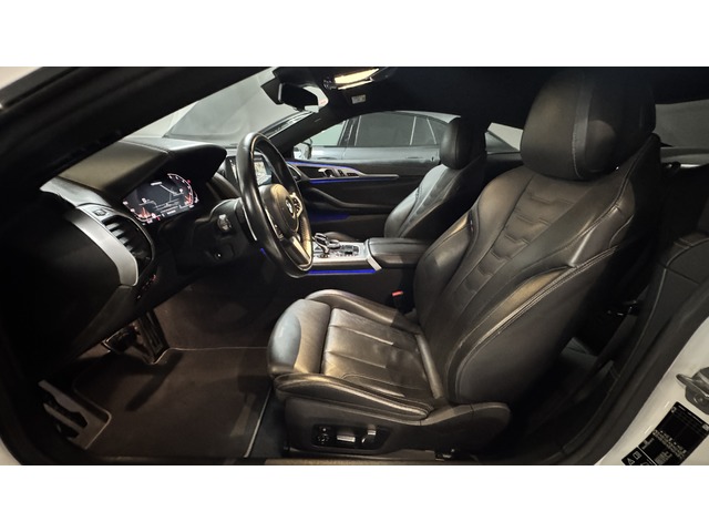 BMW Serie 8 M850i xDrive Coupe 390 kW (530 CV)