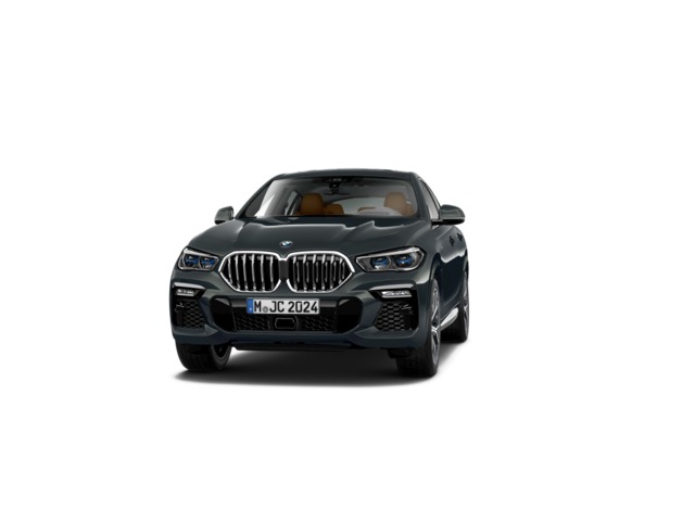Foto 1 BMW X6 xDrive40d 250 kW (340 CV)