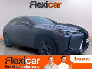 Lexus UX en Motorflash