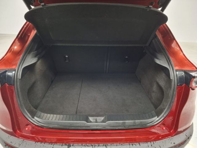 Mazda CX-30 2.0 Skyactiv-G Zenith 2WD 90 kW (122 CV)