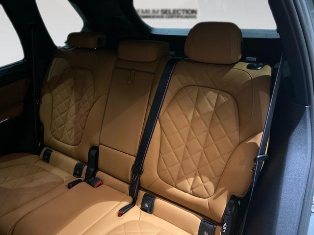 Foto 9 BMW X5 xDrive40d xLine 259 kW (352 CV)