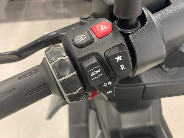 BMW Motorrad CE 04  de ocasión 