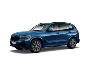 Fotos de BMW X5 xDrive30d color Azul. Año 2021. 210KW(286CV). Diésel. En concesionario Móvil Begar Alicante de Alicante