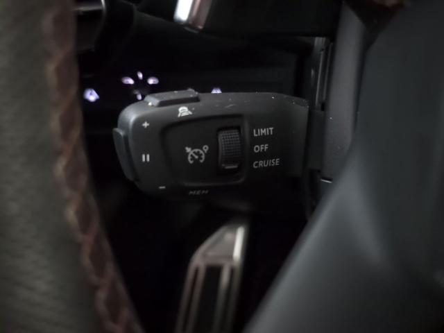 DS DS7 Crossback BlueHDi DE Performance Line+ AT 96 kW (130 CV)