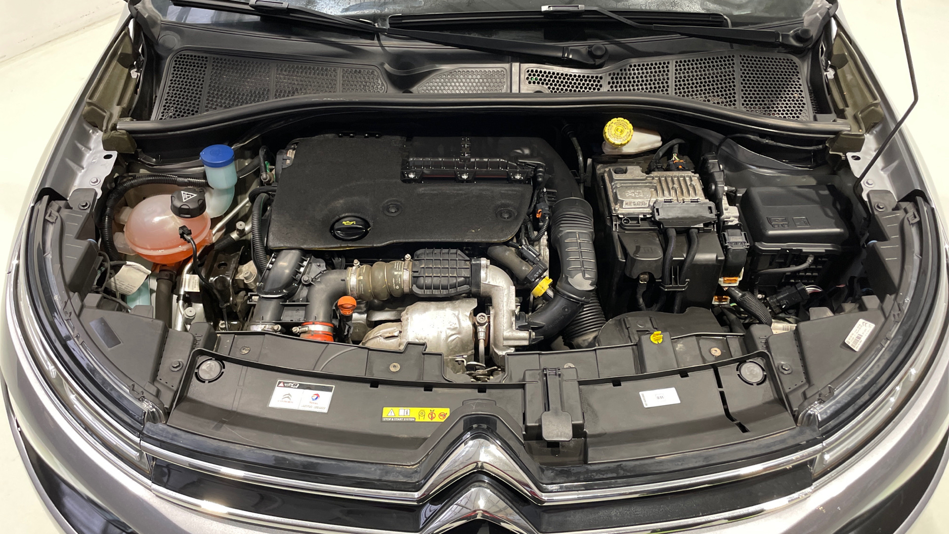 Citroen C4 Cactus BlueHDi 100 en Barcelona