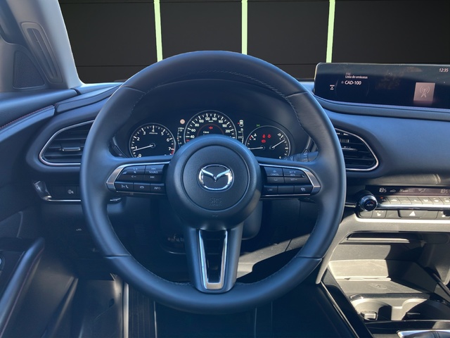Mazda CX-30 e-SKY X MHEV Homura 2WD 137 kW (186 CV)