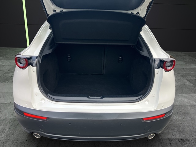 Mazda CX-30 2.0 Skyactiv-G Origin 2WD 90 kW (122 CV)