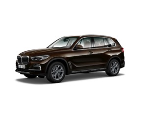 Fotos de BMW X5 xDrive30d color Marrón. Año 2021. 210KW(286CV). Diésel. En concesionario Motor Gorbea de Álava
