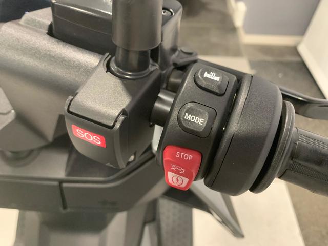 BMW Motorrad CE 04  de ocasión 