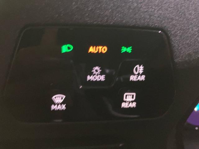 Volkswagen Caddy Maxi Outdoor 2.0 TDI BMT 75 kW (102 CV)