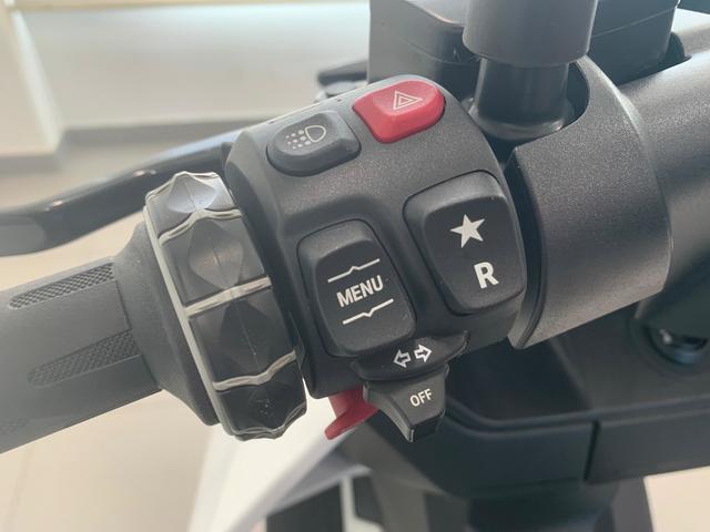 BMW Motorrad CE 04  de ocasión 