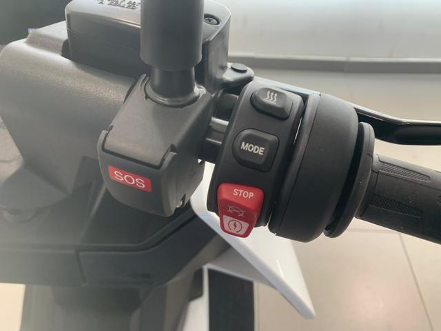 BMW Motorrad CE 04  de ocasión 