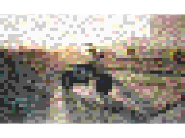 BMW Motorrad CE 02  de ocasión 